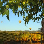 Watch Hot Air Balloons from the Backyard Landing