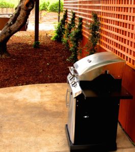 Gas BBQ in the Backyard