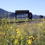 Local Attractions: Welcome To Napa Valley