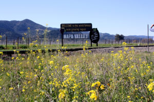 Local Attractions: Welcome To Napa Valley